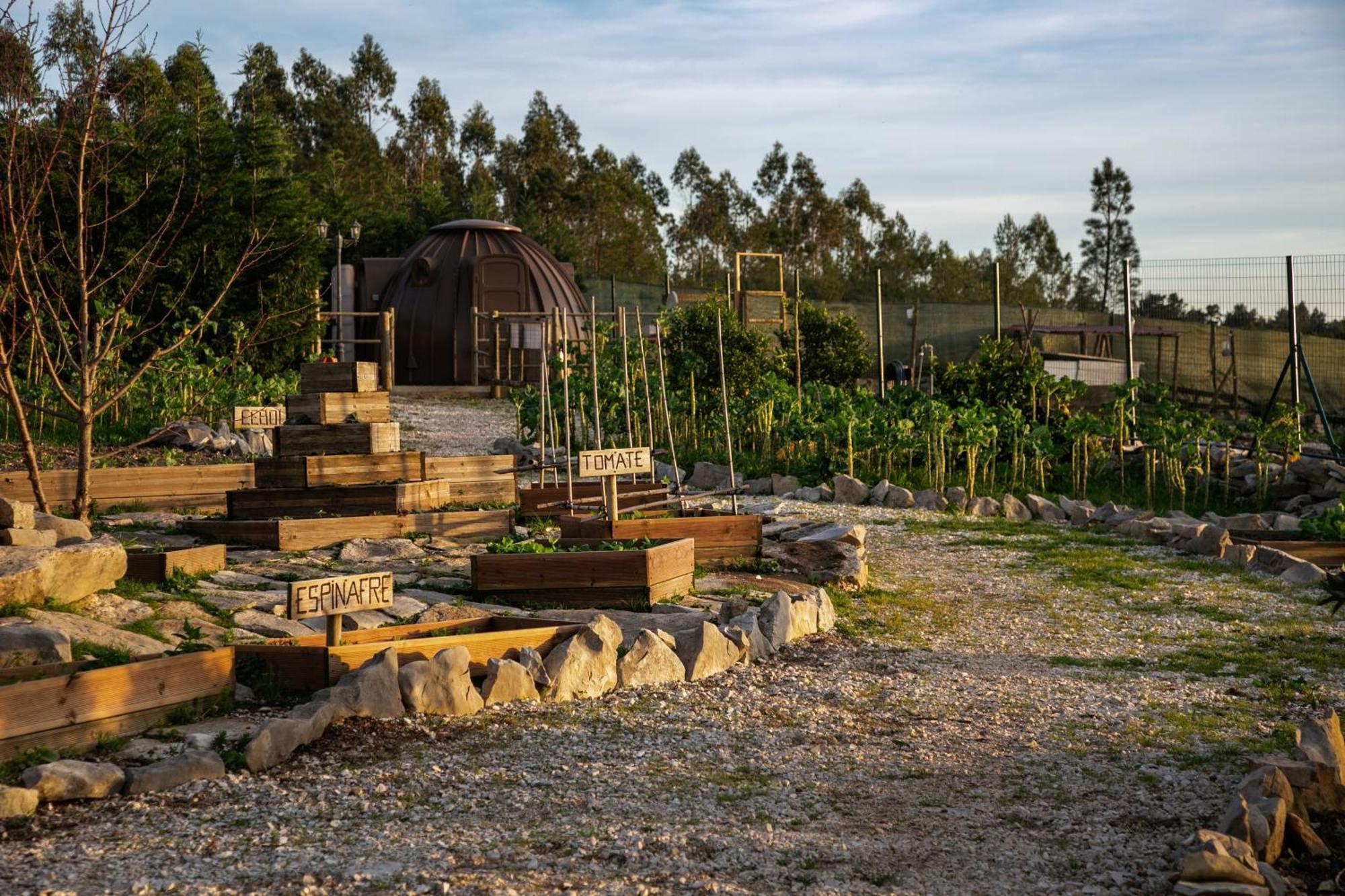 Casas Da Gralha Bed & Breakfast Turquel Exterior photo